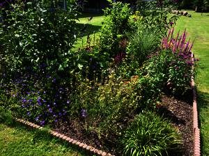 Die Natur auf unserem Schulhof.