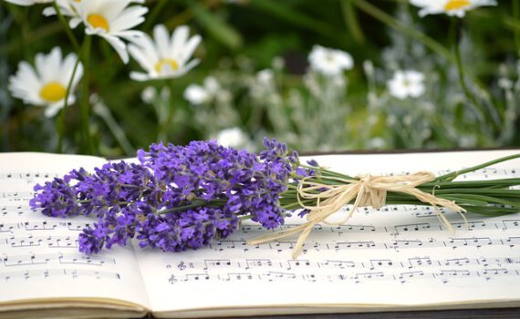 im Schulzentrum das Frühlingskonzert statt.
