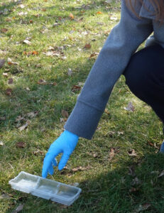 Eine Plastikverpackung wird aufgehoben.